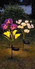 LED Solar Blumen Angebote von Living & Garden bei Netto Marken-Discount Pforzheim für 6,99 €