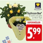 Topfrosen Duo bei EDEKA im Au Prospekt für 5,99 €