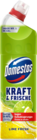 Kraft & Frische WC Gel von Domestos im aktuellen budni Prospekt