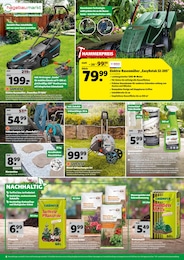 Rindenmulch Angebot & Preis im aktuellen Hagebaumarkt Prospekt Rindenmulch Angebot im aktuellen Hagebaumarkt Prospekt auf Seite 4