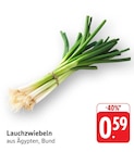 E center Schorndorf - Lauchzwiebeln Angebot im Prospekt Lauchzwiebeln bei E center im Schorndorf Prospekt für 0,59 €