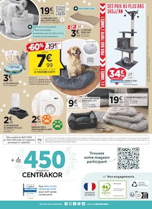 Promo Coussin Chien dans le catalogue Centrakor du moment à la page 12