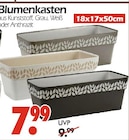 Aktuelles Blumenkasten Angebot bei Wreesmann in Dresden ab 7,99 €