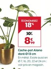 Promo Cache-pot alano doré ø 13 cm à 8,99 € dans le catalogue Truffaut à Limoges