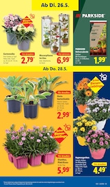 Gartenerde im Lidl Prospekt in Braunschweig Aktueller Lidl Prospekt mit Gartenerde, "LIDL LOHNT SICH", Seite 73