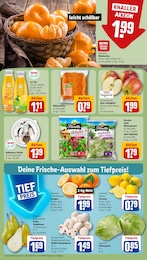 Teegetränk im REWE Prospekt "Dein Markt" auf Seite 8