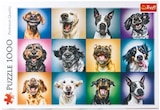Puzzle 500-tlg. im Angebot bei Netto mit dem Scottie in Eberswalde Puzzle 500-tlg. Angebote von Trefl bei Netto mit dem Scottie Eberswalde für 5,99 €