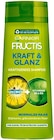 Shampoo Angebote von Garnier Fructis bei REWE Neustadt für 1,89 €