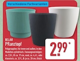 Aktuelles Pflanztopf Angebot bei ALDI Nord in Bielefeld ab 2,99 €