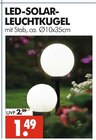 LED-SOLAR-LEUCHTKUGEL im Angebot bei Wreesmann in Stade LED-SOLAR-LEUCHTKUGEL Angebote bei Wreesmann Stade für 1,49 €