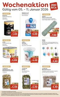 Katzenfutter im ZOO und Co. Prospekt "Wochenaktion" mit 1 Seiten (Siegen (Universitätsstadt))