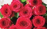 Intermarché Express Bordeaux - Promo Bouquet 10 Roses 50 cm Promo Bouquet 10 Roses 50 cm à 5,99 € dans le catalogue Intermarché Express à Bordeaux