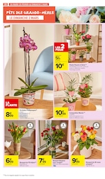 Offre Orchidée dans le catalogue Carrefour Market du moment à la page 22