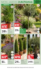 Promos Palmier dans le catalogue "JARDIN LÀ OÙ LA VIE SE CULTIVE" de Carrefour Market Palmier en promo dans le catalogue Carrefour Market à la page 4