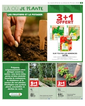 Tomate Angebote im Prospekt "JARDIN LÀ OÙ LA VIE SE CULTIVE" von Carrefour Market Tomate Angebote im Prospekt "JARDIN LÀ OÙ LA VIE SE CULTIVE" von Carrefour Market auf Seite 11