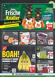 Äpfel im E center Prospekt in Pirna Aktueller E center Prospekt mit Äpfel, "Wir lieben Lebensmittel!", Seite 4