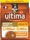 CROQUETTES POUR CHIEN MÉDIUM/MAXI - Ultima - Intermarché à Avignon CROQUETTES POUR CHIEN MÉDIUM/MAXI - Ultima en promo chez Intermarché Avignon à 20,27 €