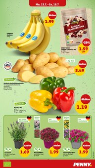 Bananen im Penny Prospekt "Wer günstig will, muss Penny." mit 33 Seiten (Pforzheim)