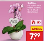 Orchidee Angebote bei Netto Marken-Discount Braunschweig für 7,99 €