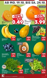 Pflanzen im Kaufland Prospekt in Pirmasens Aktueller Kaufland Prospekt mit Pflanzen, "Hier bin ich richtig", Seite 19