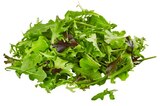Bio Crispy Salatmix im Angebot bei REWE in Mühlhausen Bio Crispy Salatmix Angebote von REWE Bio bei REWE Mühlhausen für 0,99 €