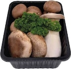 Deutschland braune Champignons Gourmet Mix im Angebot bei E center in Münster Deutschland braune Champignons Gourmet Mix Angebote bei E center Münster für 2,99 €