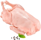 Frische junge deutsche Ente im Angebot bei REWE in Plauen Frische junge deutsche Ente Angebote bei REWE Plauen für 7,99 €