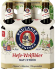 EDEKA Oberstenfeld - Paulaner Angebot im Prospekt Paulaner bei EDEKA im Oberstenfeld Prospekt für 4,29 €