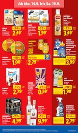 Bier im Lidl Prospekt in Kierspe Aktueller Lidl Prospekt mit Bier, "LIDL LOHNT SICH", Seite 19
