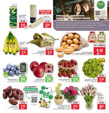 Kartoffeln im aktuellen Marktkauf Prospekt (Offenbach (Main)) Kartoffeln im Marktkauf Prospekt "Aktuelle Angebote" mit 41 Seiten (Offenbach (Main))