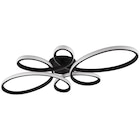 Trio LED-Deckenleuchte Fly  im aktuellen POCO Prospekt für 69,95 €