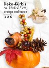 Deko-Kürbis Angebote bei TEDi Langenfeld für 3,00 €