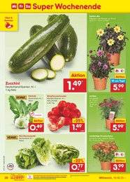 Netto Marken-Discount Chrysantheme im Prospekt Netto Marken-Discount Chrysantheme im Prospekt