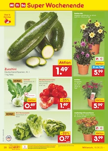 Tomaten im Netto Marken-Discount Prospekt "Aktuelle Angebote" mit 59 Seiten (Hamm)