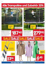 Leiter Angebot im aktuellen Rusta Prospekt auf Seite 10