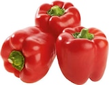 Aktuelles Spanien Paprika "rot" Angebot bei EDEKA in Recklinghausen ab 1,79 €