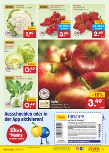 Salat im aktuellen Netto Marken-Discount Prospekt (Nürnberg) Salat im Netto Marken-Discount Prospekt "Aktuelle Angebote" mit 63 Seiten (Nürnberg)