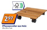 Pflanzenroller aus Holz von  im aktuellen Action Prospekt für 2,97 €