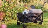 Klapp-Bollerwagen bei Sconto SB im Prospekt "" für 39,95 €