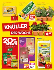 Aktueller Netto Marken-Discount Prospekt mit Butter, "Aktuelle Angebote", Seite 2