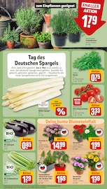 Ähnliche Angebote wie Salatpflanze im Prospekt "Dein Markt" auf Seite 7 von REWE in Hamburg