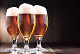 Pils im Angebot bei EDEKA in Kiel Pils Angebote von Hasseröder bei EDEKA Kiel für 8,49 €