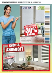 Rollo im Scheidt Prospekt in Iserlohn Aktueller Scheidt Prospekt mit Rollo, "AKTUELLE ANGEBOTE", Seite 13