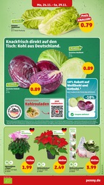 Weihnachtsdekoration im Penny Prospekt in Wismar Aktueller Penny Prospekt mit Weihnachtsdekoration, "Wer günstig will, muss Penny.", Seite 6