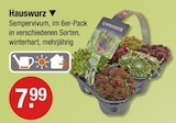 Hauswurz im V-Markt Prospekt Hauswurz von im aktuellen V-Markt Prospekt für 7,99 €