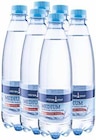 Mineralwasser im Angebot bei famila Nordwest in Oldenburg Mineralwasser Angebote von Küsten Gold bei famila Nordwest Oldenburg für 1,39 €