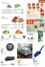 Offre Paille dans le catalogue Espace Emeraude du moment à la page 3