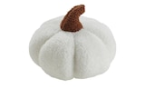 Kissen Kürbis Angebote bei Sconto SB Rostock für 8,46 €