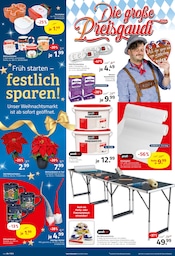Aktueller ROLLER Prospekt mit Haushaltsartikel, "Die große Preisgaudi - FINALE", Seite 10