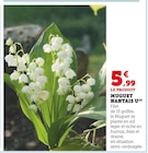 Muguet Nantais - U en promo chez Hyper U Saint-Maur-des-Fossés à 5,99 €